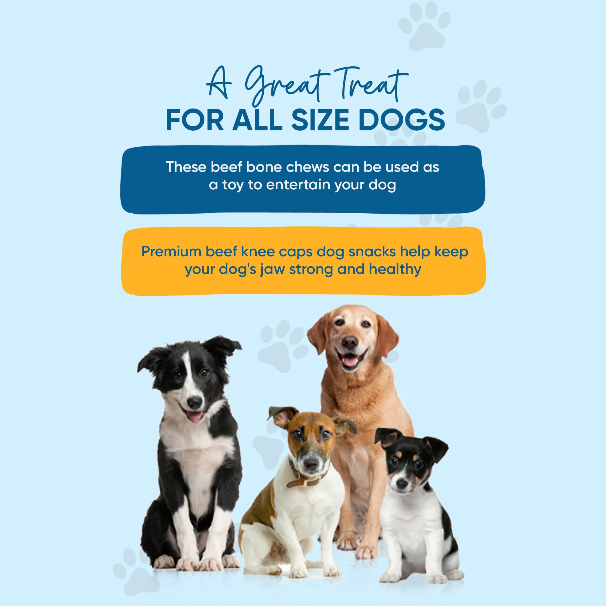 123 Treats Beef Knee Caps for Dogs - Natural Cow Knee Cap Bones, Long-Lasting Dog Chew Treat, Bone-in Beef Kneecap Bones for Med